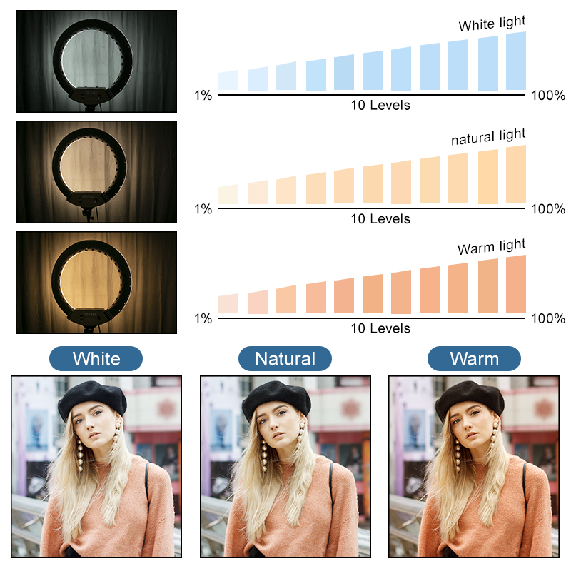 Yizhestudio F488 22Inch Vòng Đ - đánh giá và giá Webcam Ring Light